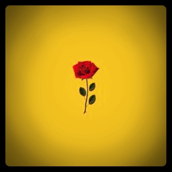 Meet your Posher, Domino - Picture 1 of 1